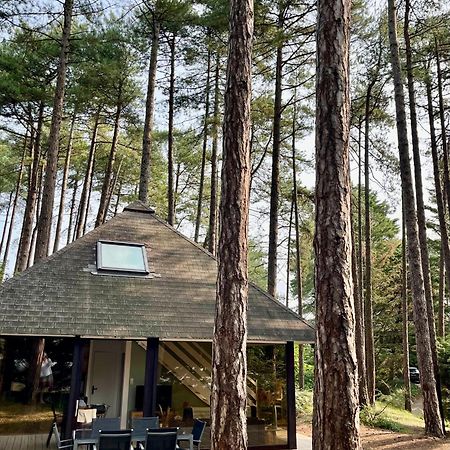 L Oree De La Pinede Hardelot Plage A 800 Metres De La Mer Sous Les Pins Exteriér fotografie