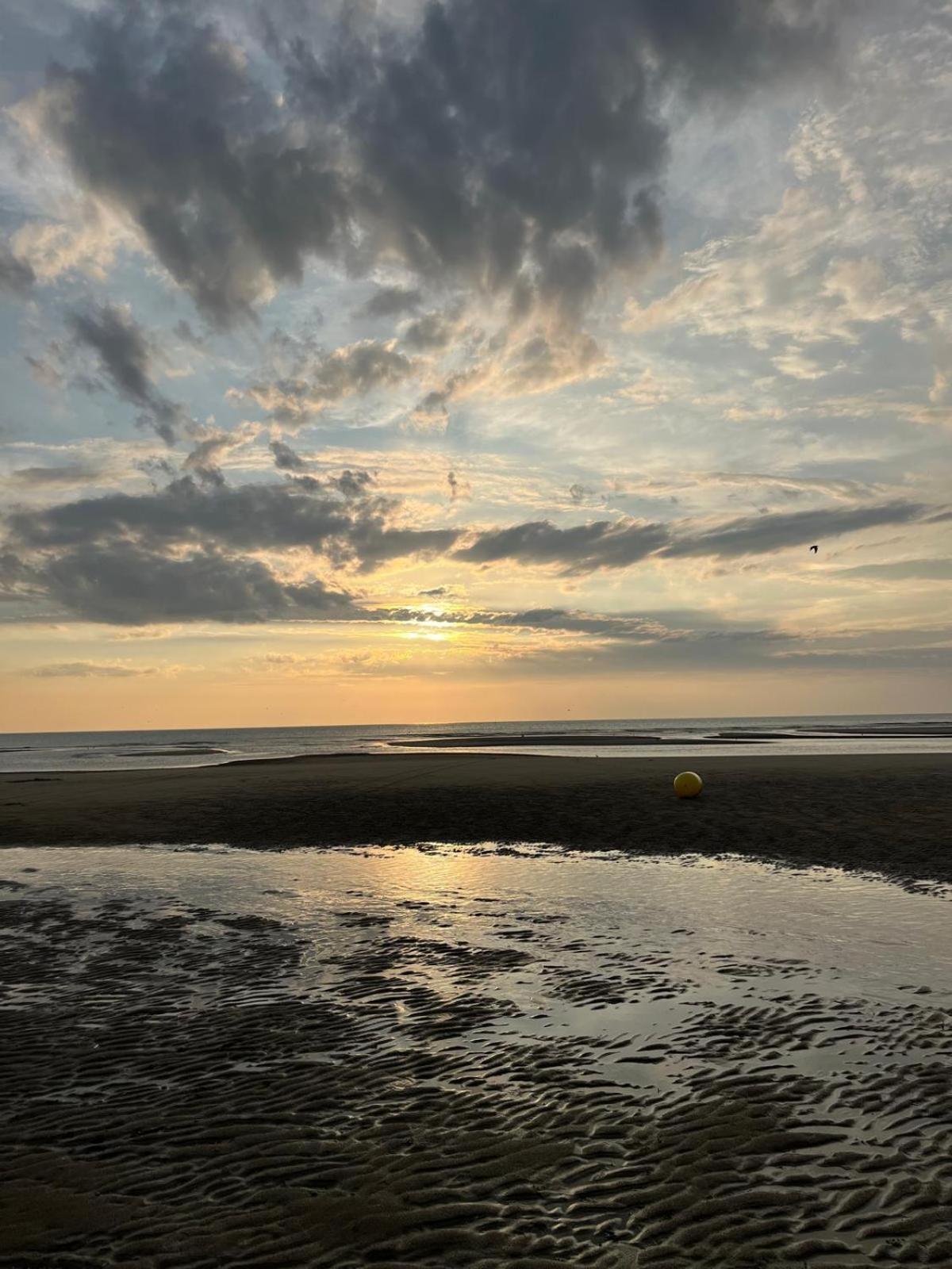 L Oree De La Pinede Hardelot Plage A 800 Metres De La Mer Sous Les Pins Exteriér fotografie