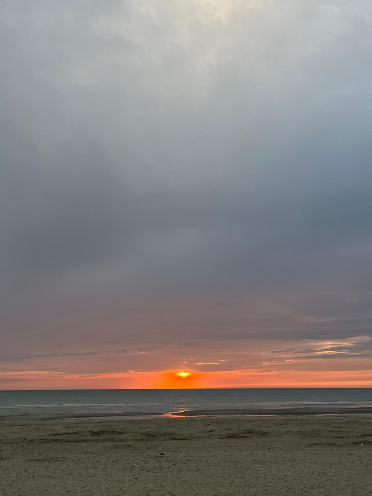 L Oree De La Pinede Hardelot Plage A 800 Metres De La Mer Sous Les Pins Exteriér fotografie