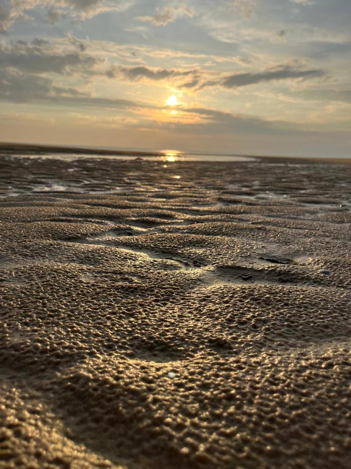 L Oree De La Pinede Hardelot Plage A 800 Metres De La Mer Sous Les Pins Exteriér fotografie