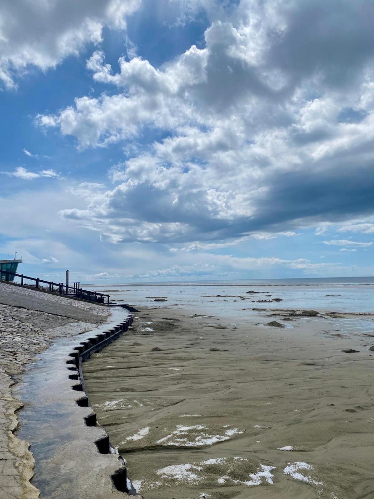 L Oree De La Pinede Hardelot Plage A 800 Metres De La Mer Sous Les Pins Exteriér fotografie