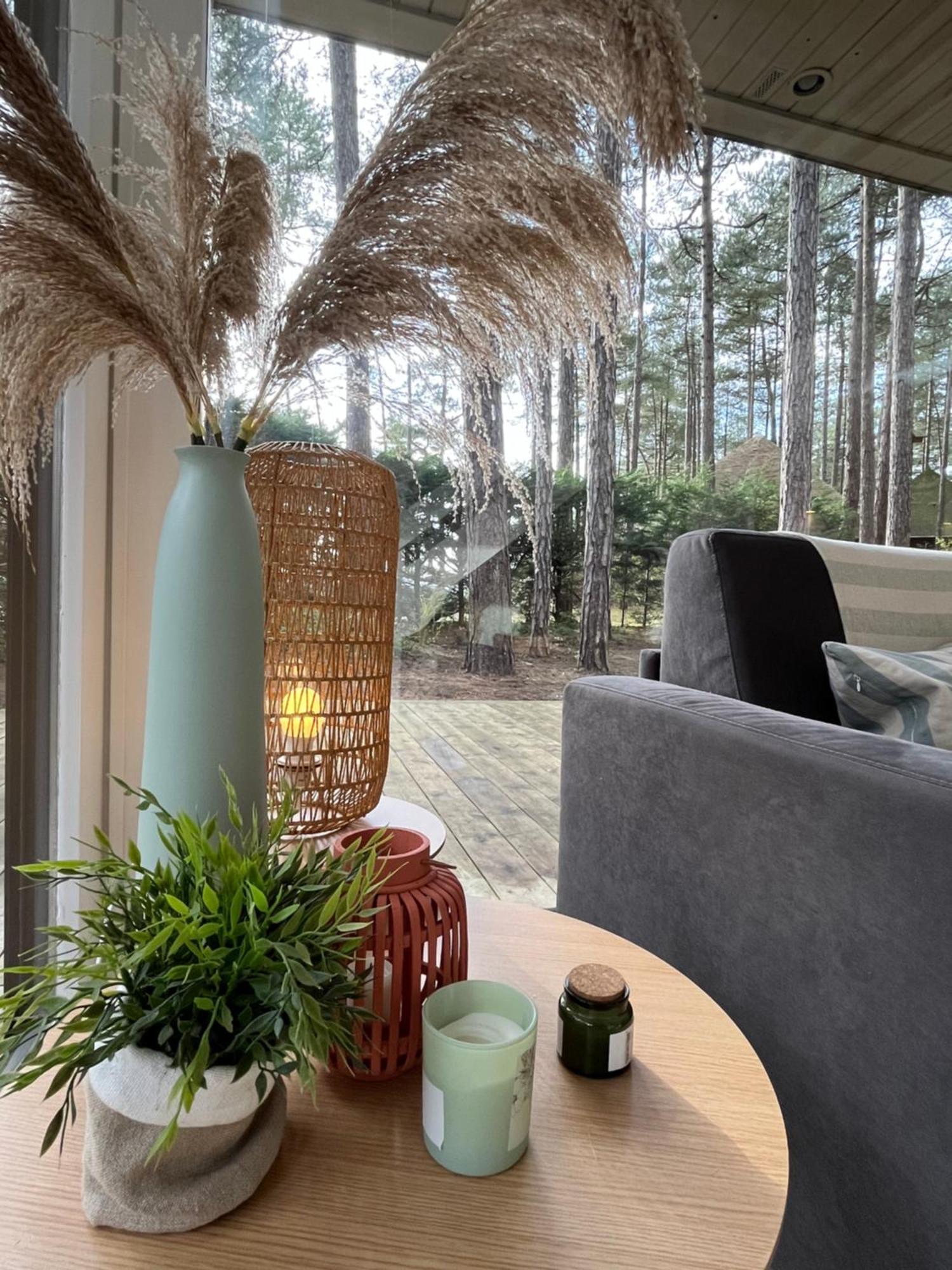 L Oree De La Pinede Hardelot Plage A 800 Metres De La Mer Sous Les Pins Exteriér fotografie